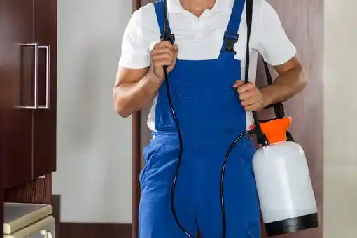 أسعار شركات مكافحة الحشرات في مصر 01050080115
